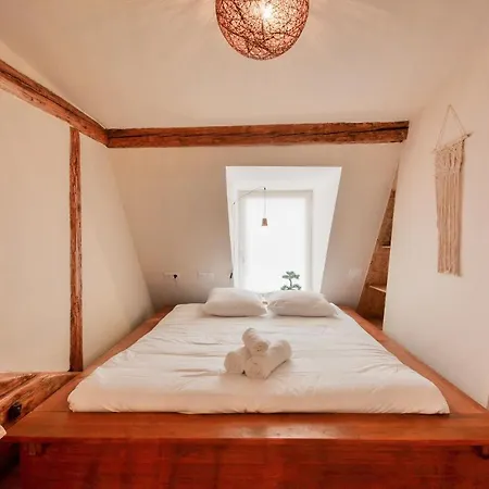 Apartment La Douceur De Stanislas *